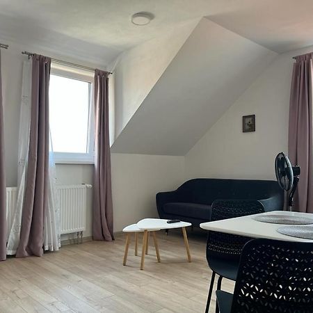 Sabina Apartaments Sfântu-Gheorghe Buitenkant foto