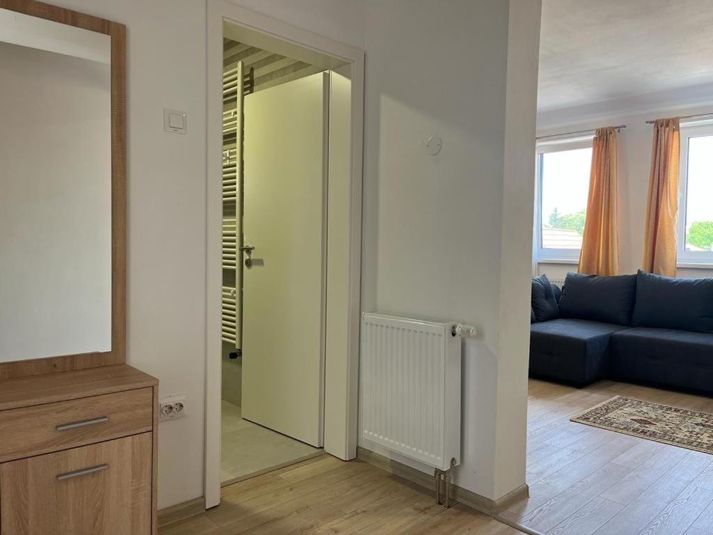 Sabina Apartaments Sfântu-Gheorghe Buitenkant foto