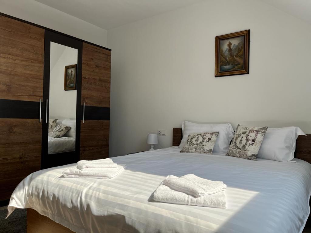 Sabina Apartaments Sfântu-Gheorghe Buitenkant foto